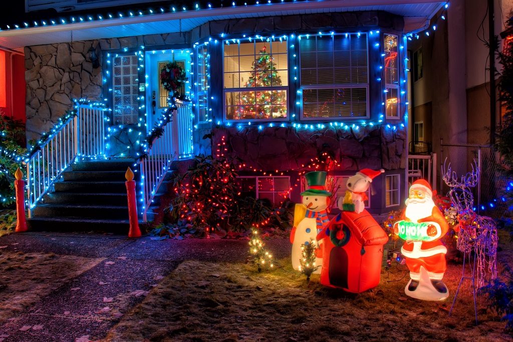 Invest in Christmas Light Services