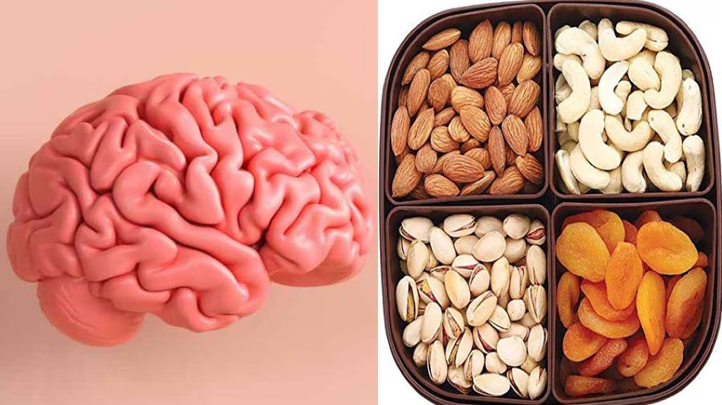 Best Dry Fruits for Brain